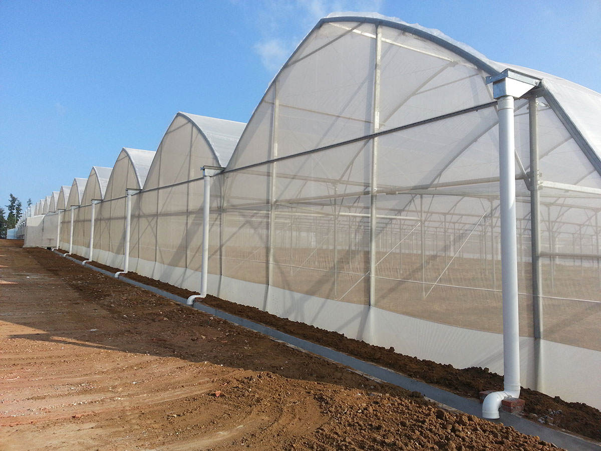 Greenhouses
